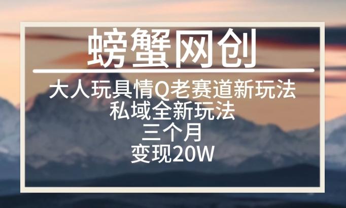 大人玩具情Q用品赛道私域全新玩法，三个月变现20W，老项目新思路【揭秘】-点子口袋网