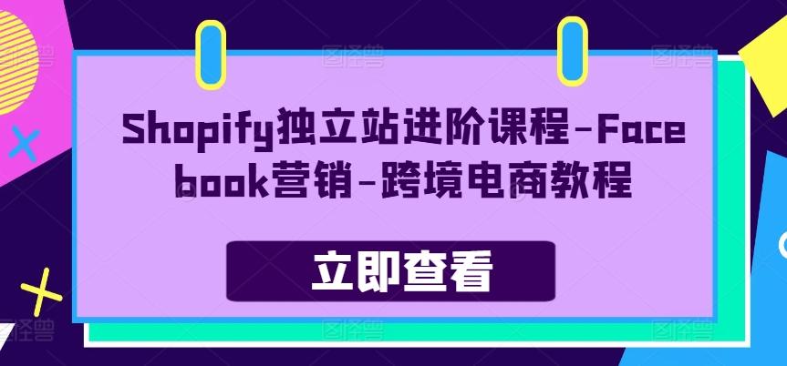 Shopify独立站进阶课程-Facebook营销-跨境电商教程-点子口袋网