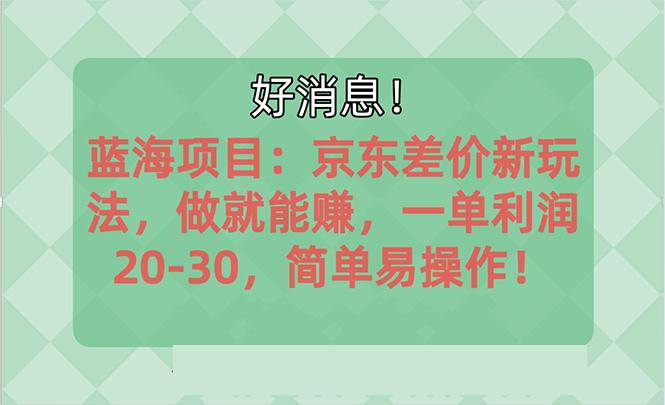 越早知道越能赚到钱的蓝海项目：京东大平台操作，一单利润20-30，简单...-点子口袋网
