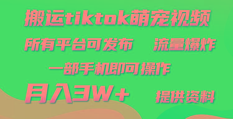(9618期)搬运Tiktok萌宠类视频，一部手机即可。所有短视频平台均可操作，月入3W+-点子口袋网