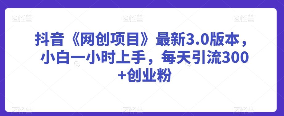 抖音《网创项目》最新3.0版本，小白一小时上手，每天引流300+创业粉【揭秘】-点子口袋网