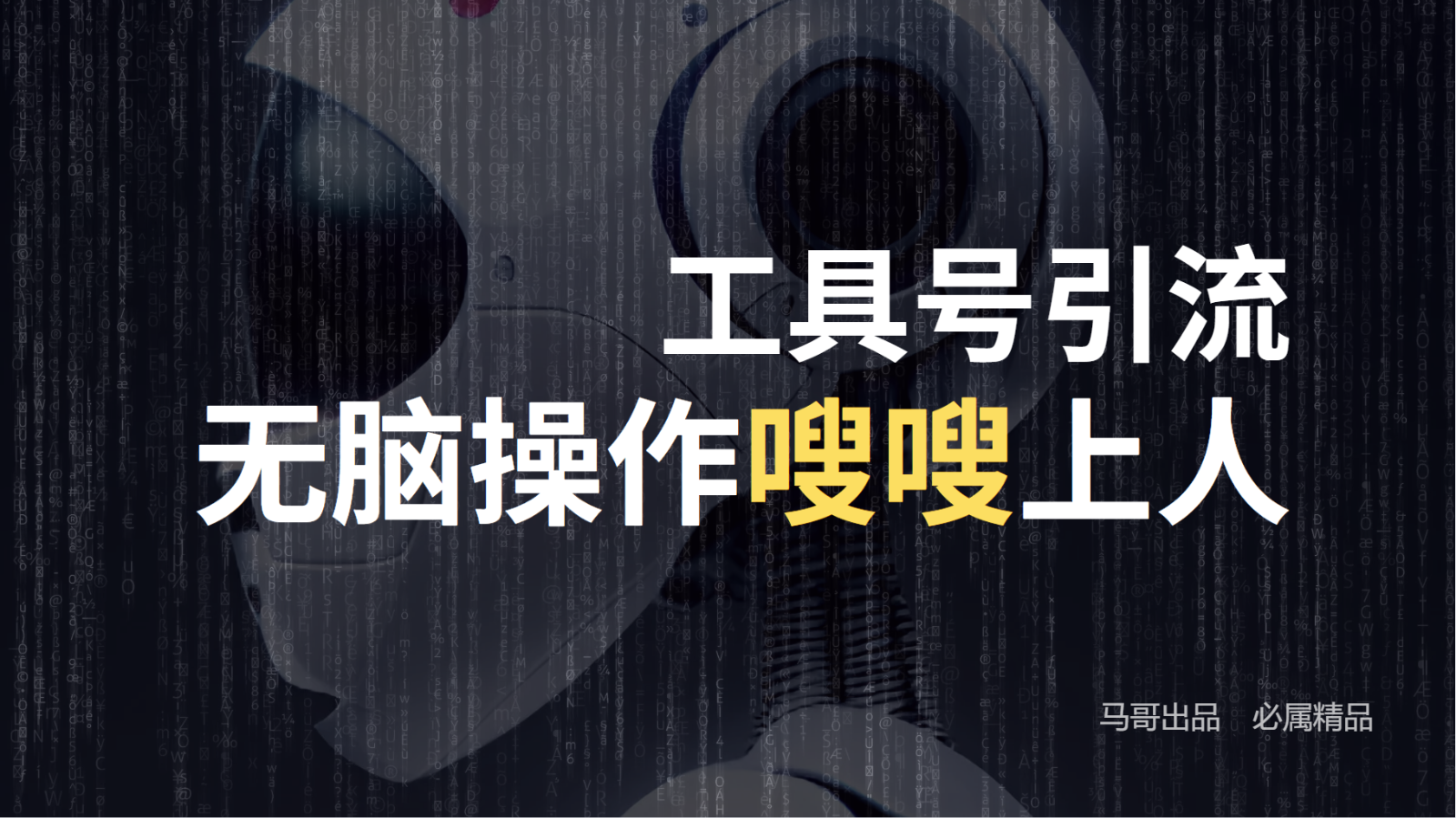 工具号高效引流法，嗖嗖上人，日引1000+，直接搬运，无脑操作-点子口袋网