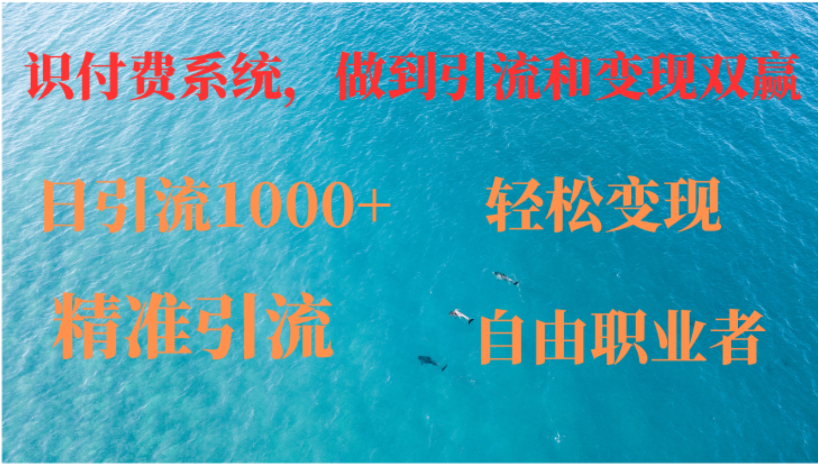 如何搭建自己的知识付费系统，做到引流和变现双赢-点子口袋网