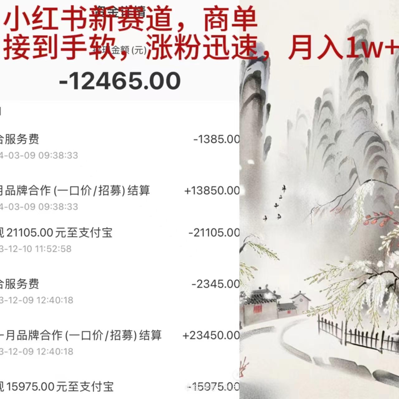 (9476期)小红书新赛道，商单接到手软，涨粉迅速，月入1w+-点子口袋网