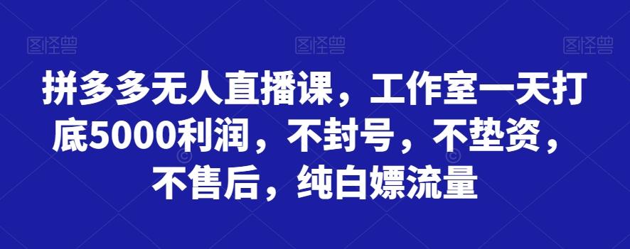 拼多多无人直播课，工作室一天打底5000利润，不封号，不垫资，不售后，纯白嫖流量-点子口袋网