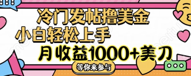 冷门发帖撸美金项目，月收益1000+美金，简单无脑，干就完了【揭秘】-点子口袋网