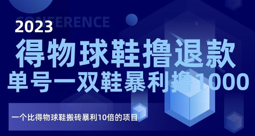 2023得物球鞋撸退款，单号一双鞋暴利撸1000，一个比得物球鞋搬砖暴利10倍的项目【揭秘】-点子口袋网