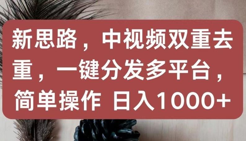 新思路，中视频双重去重，一键分发多平台，简单操作，日入1000+【揭秘】-点子口袋网