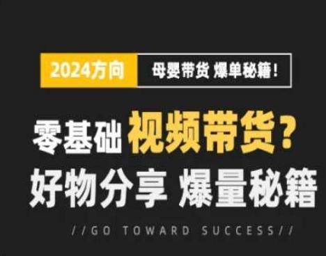 短视频母婴赛道实操流量训练营，零基础视频带货，好物分享，爆量秘籍-点子口袋网