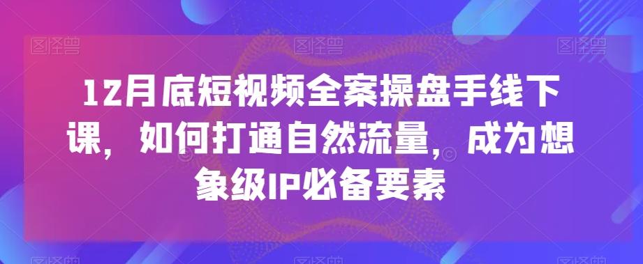 12月底短视频全案操盘手线下课，如何打通自然流量，成为想象级IP必备要素-点子口袋网