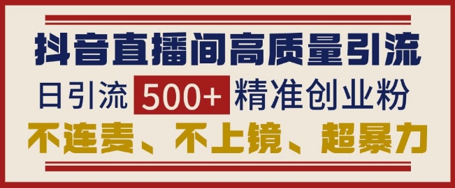 抖音直播间引流创业粉，无需连麦、不用上镜、超暴力，日引流500+高质量精准创业粉-点子口袋网