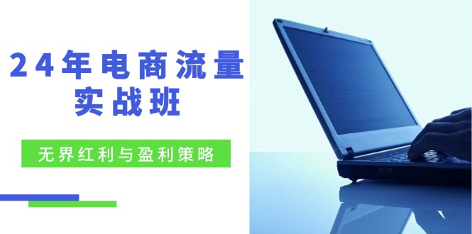 24年电商流量实战班：无界 红利与盈利策略，终极提升/关键词优化/精准...-点子口袋网
