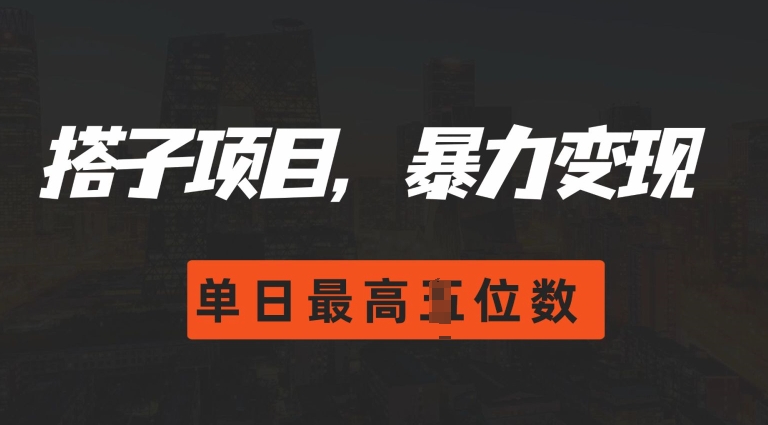 2024搭子玩法，0门槛，暴力变现，单日最高破四位数【揭秘】-点子口袋网