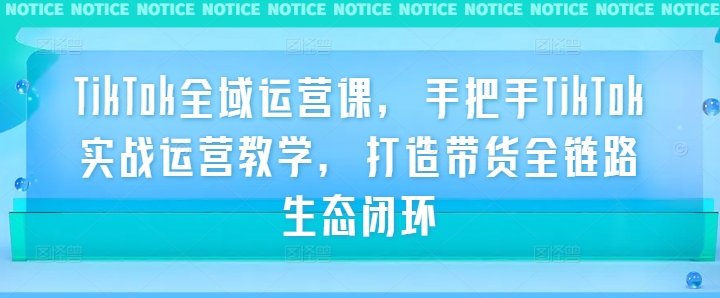TikTok全域运营课，手把手TikTok实战运营教学，打造带货全链路生态闭环-点子口袋网