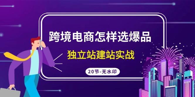 (9369期)跨境电商怎样选爆品，独立站建站实战(20节高清无水印课)-点子口袋网