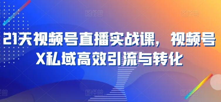 21天视频号直播实战课，视频号X私域高效引流与转化-点子口袋网
