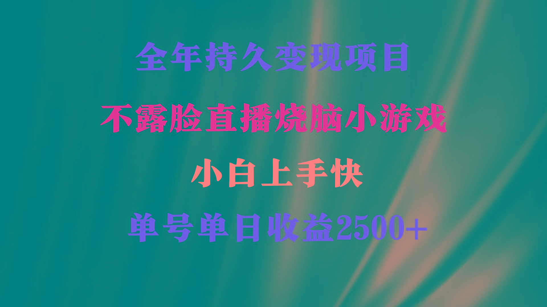 2024年 最优项目，烧脑小游戏不露脸直播  小白上手快 无门槛 一天收益2500+-点子口袋网
