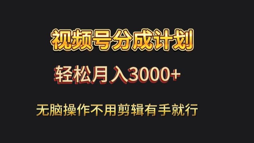 视频号流量分成，不用剪辑，有手就行，轻松月入2000+-点子口袋网