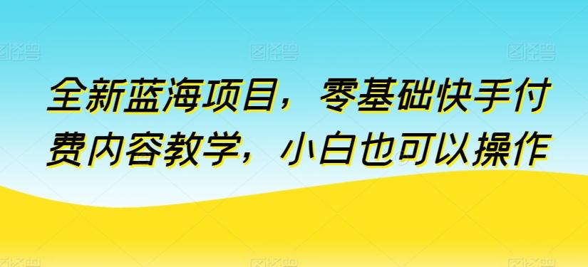 全新蓝海项目，零基础快手付费内容教学，小白也可以操作【揭秘】-点子口袋网