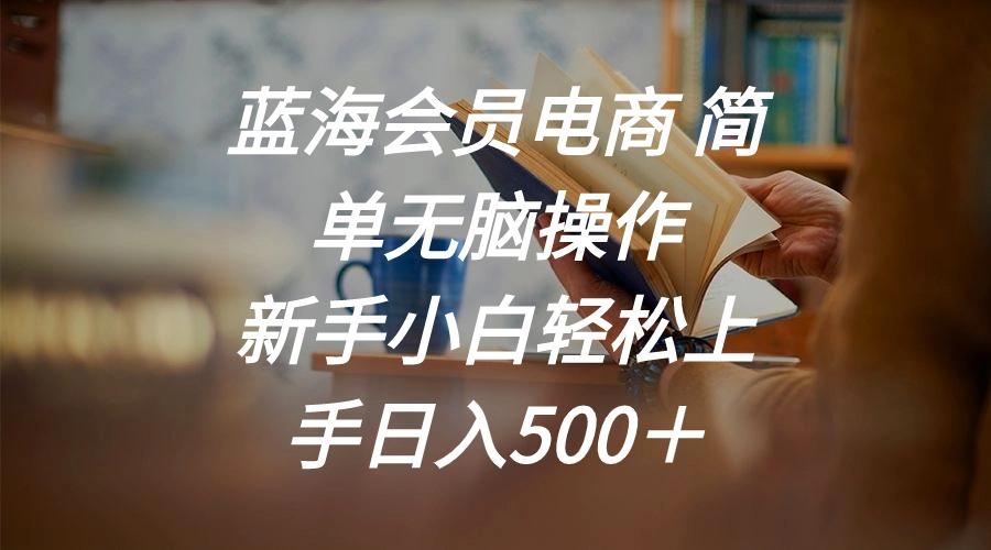 蓝海会员电商 简单无脑操作 新手小白轻松上手日入500＋-点子口袋网