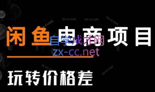 亿创繁星·闲鱼电商项目(玩转价格差)-点子口袋网