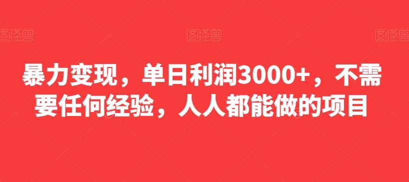 暴力变现，单日利润3000+，不需要任何经验，人人都能做的项目-点子口袋网