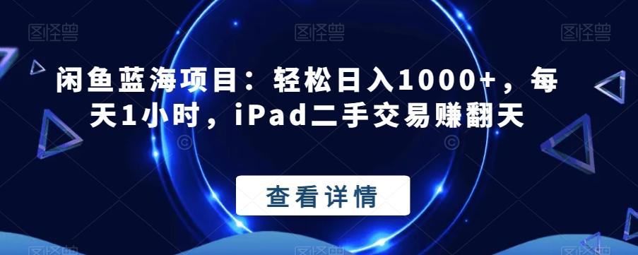 闲鱼蓝海项目：轻松日入1000+，每天1小时，iPad二手交易赚翻天-点子口袋网