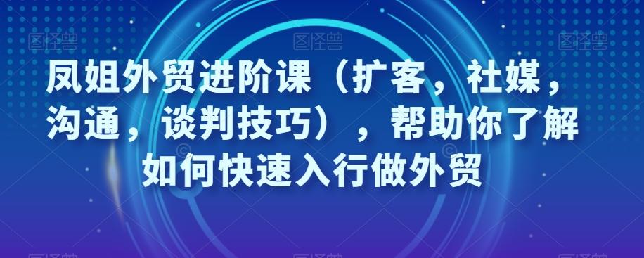 凤姐外贸进阶课（扩客，社媒，沟通，谈判技巧），帮助你了解如何快速入行做外贸-点子口袋网