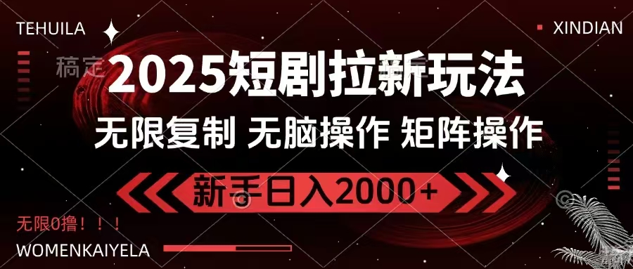 2025短剧拉新玩法，无需注册登录，无限0撸，无脑批量操作日入2000+-点子口袋网