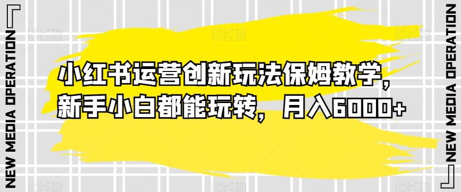 小红书运营创新玩法保姆教学，新手小白都能玩转，月入6000+【揭秘】-点子口袋网