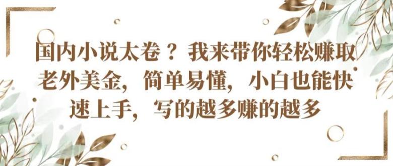 国内小说太卷 ?带你轻松赚取老外美金，简单易懂，小白也能快速上手，写的越多赚的越多【揭秘】-点子口袋网