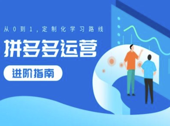 拼多多运营进阶指南，从0到1定制化学习路线-点子口袋网