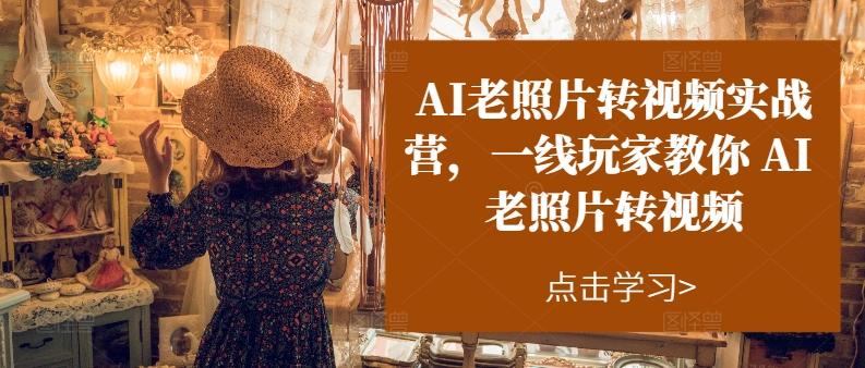 AI老照片转视频实战营，一线玩家教你AI老照片转视频-点子口袋网