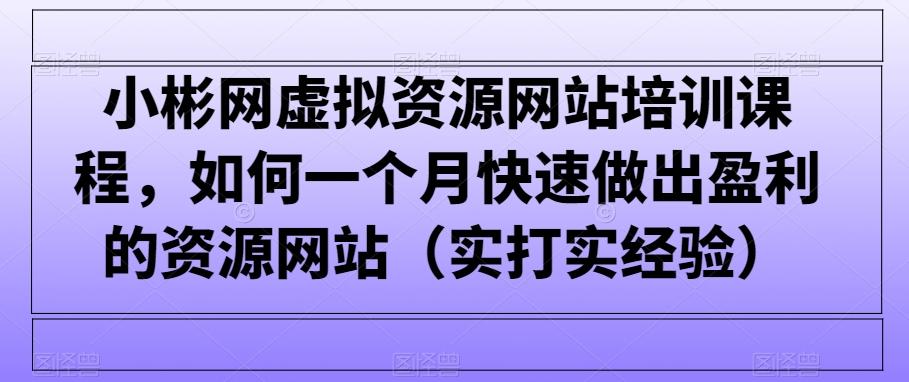 小彬网虚拟资源网站培训课程，如何一个月快速做出盈利的资源网站(实打实经验)-点子口袋网
