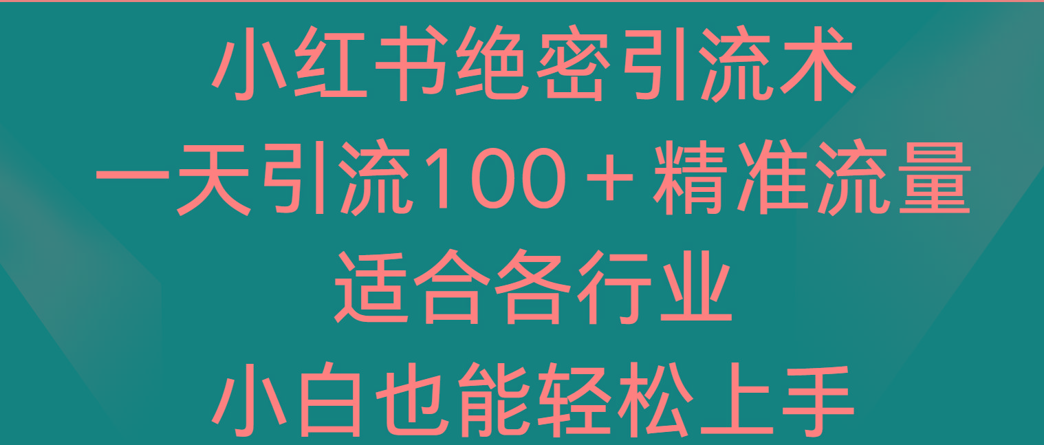 小红书绝密引流术，一天引流100＋精准流量，适合各个行业，小白也能轻松上手-点子口袋网