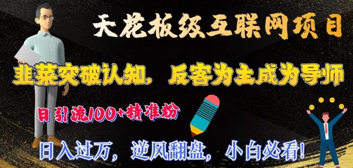 天花板级互联网项目，韭菜突破认知，反客为主成为导师，日引流100+精准粉-点子口袋网