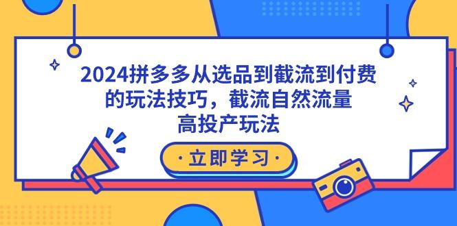 2024拼多多从选品到截流到付费的玩法技巧，截流自然流量玩法，高投产玩法-点子口袋网
