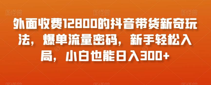 外面收费12800的抖音带货新奇玩法，爆单流量密码，新手轻松入局，小白也能日入300+【揭秘】-点子口袋网