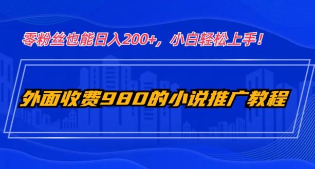 外面收费980的小说推广教程：零粉丝也能日入200+，小白轻松上手！-点子口袋网