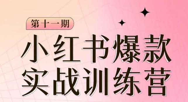 小红书博主爆款训练营第11期，手把手教你从0-1做小红书，从定位到起号到变现-点子口袋网