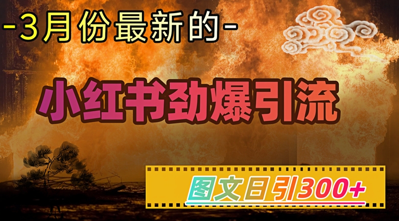 小红书超劲爆引流手段，图文日引300+轻松变现1W-点子口袋网