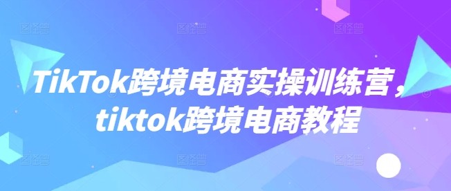 TikTok跨境电商实操训练营，tiktok跨境电商教程-点子口袋网