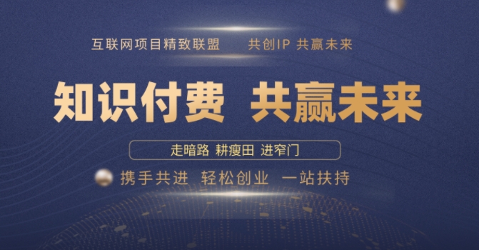 别人苦寻无果，为何他们靠知识付费卖项目 2025 年轻松年入100个?【揭秘】-点子口袋网