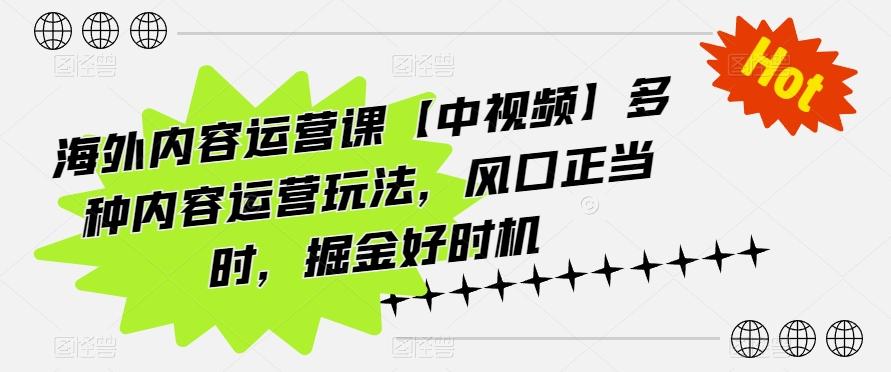 海外内容运营课【中视频】多种内容运营玩法，风口正当时，掘金好时机-点子口袋网