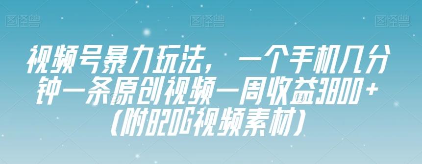 视频号暴力玩法，一个手机几分钟一条原创视频一周收益3800+（附820G视频素材）-点子口袋网