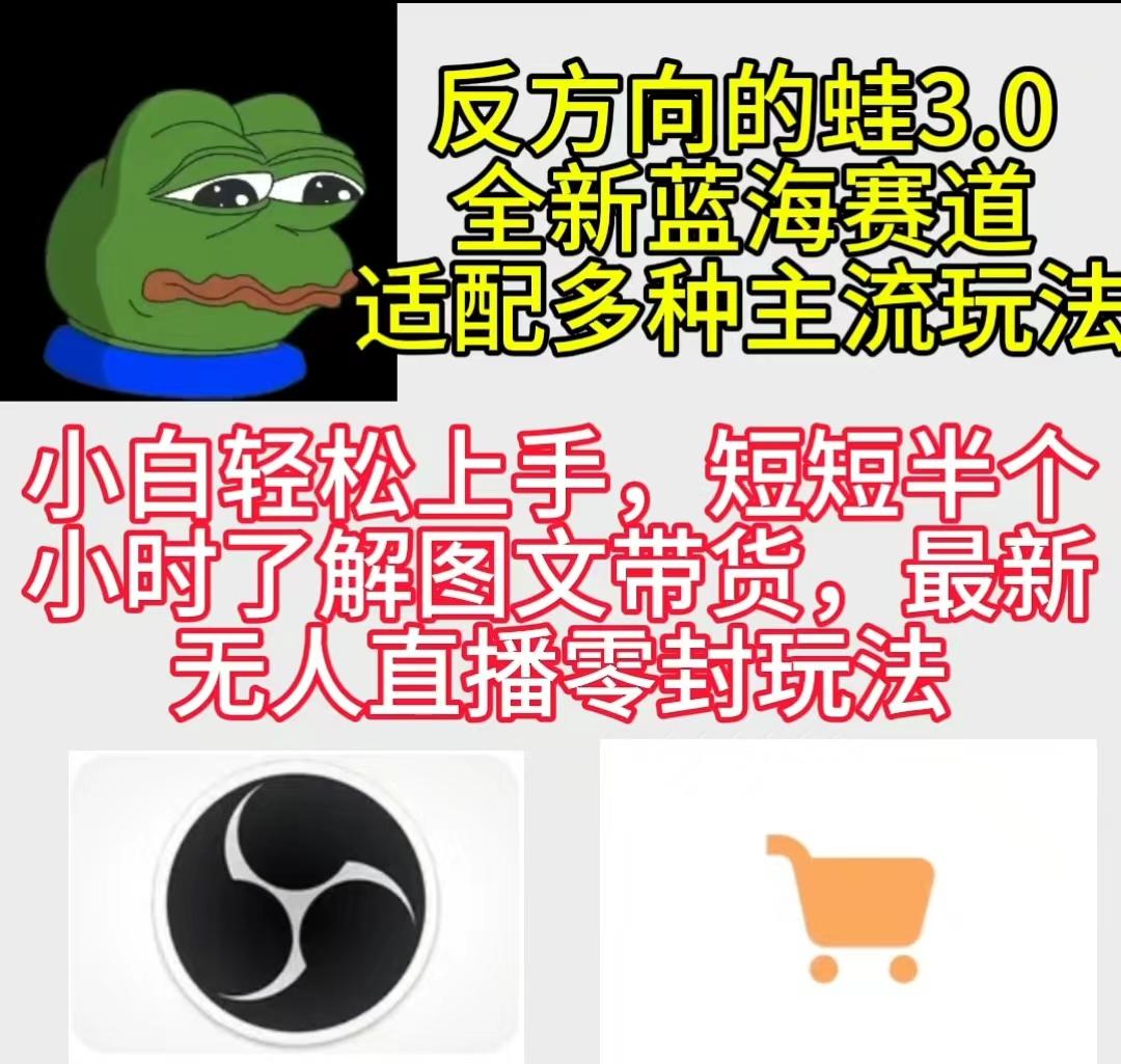 (9485期)反方向的蛙3.0，图文最新玩法，变现多元化，新蓝海项目，小白轻松上手-点子口袋网