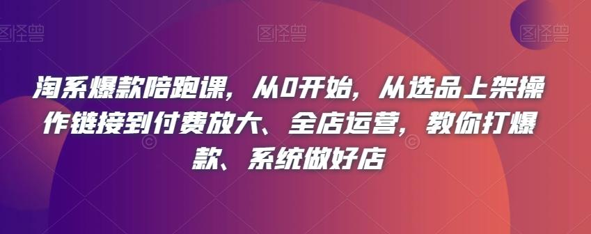 淘系爆款陪跑课，从0开始，从选品上架操作链接到付费放大、全店运营，教你打爆款、系统做好店-点子口袋网