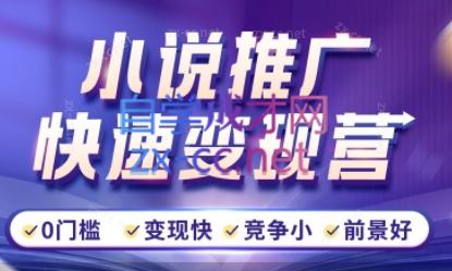 洲洲老师·小说推广快速变现营-点子口袋网