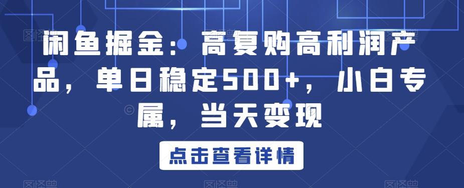 闲鱼掘金：高复购高利润产品，单日稳定500+，小白专属，当天变现-点子口袋网