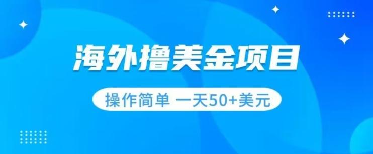 撸美金项目无门槛操作简单小白一天50+美刀-点子口袋网